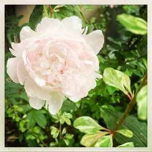 Meet your Posher, Val